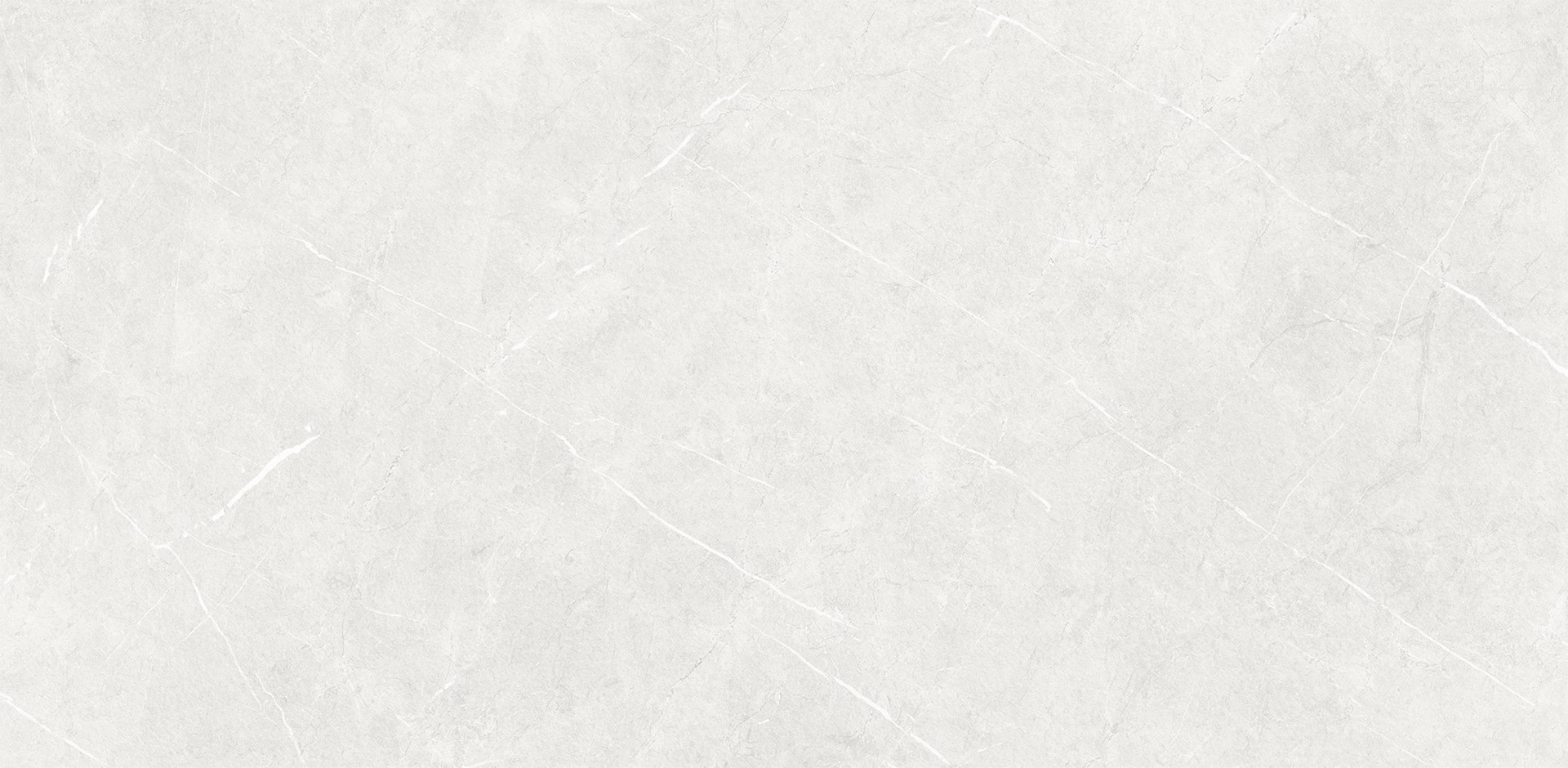Forli Light Grey Matt 600x1200