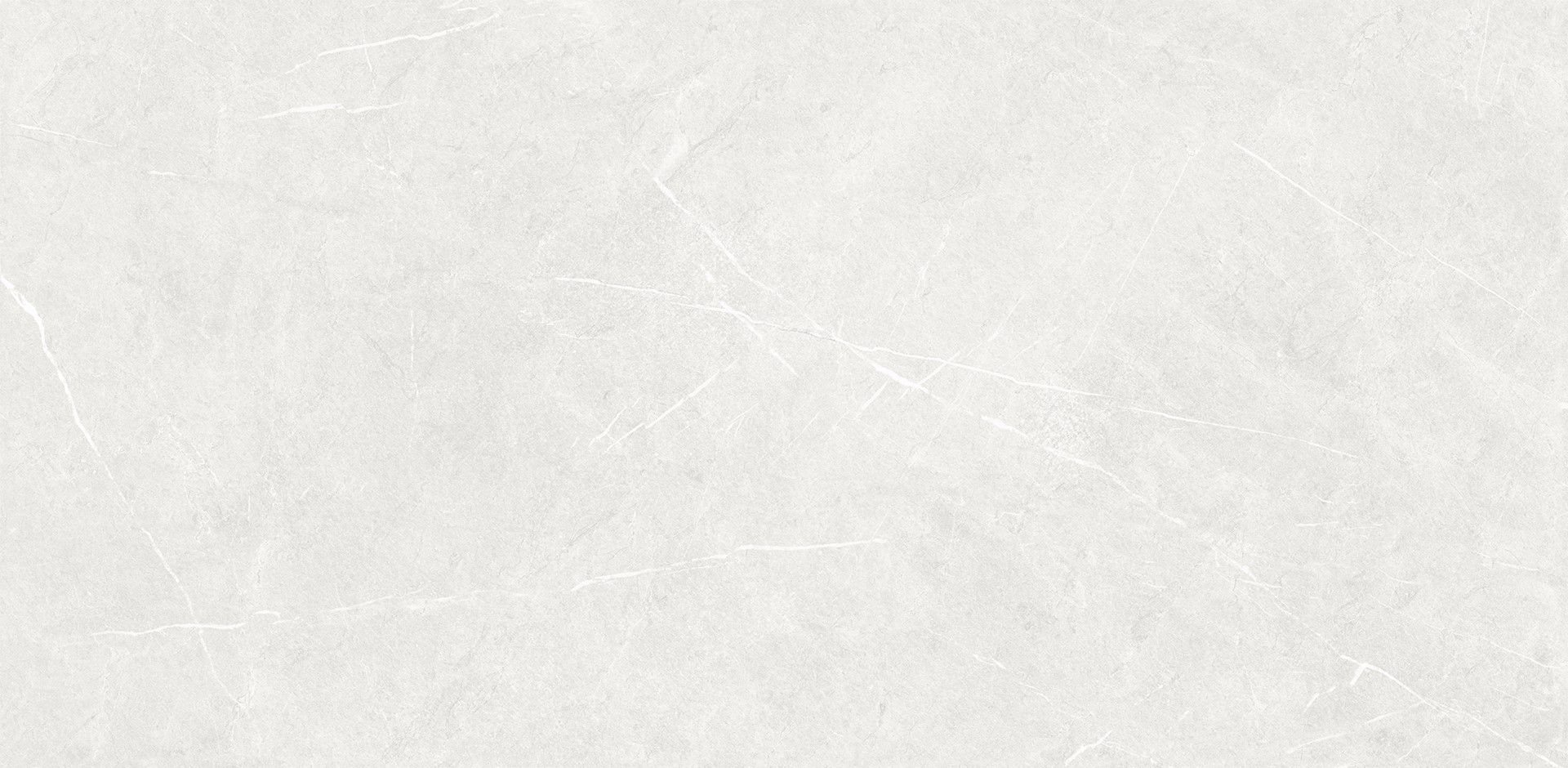 Forli Light Grey Matt 600x1200 - obrazek 2