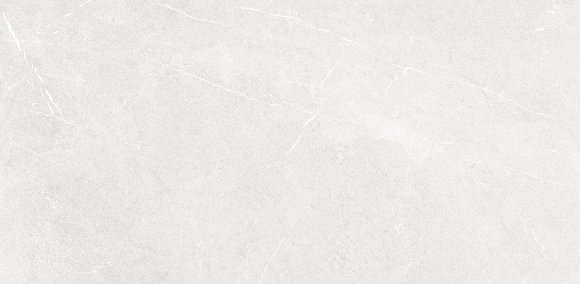 Forli Light Grey Matt 600x1200 - obrazek 3